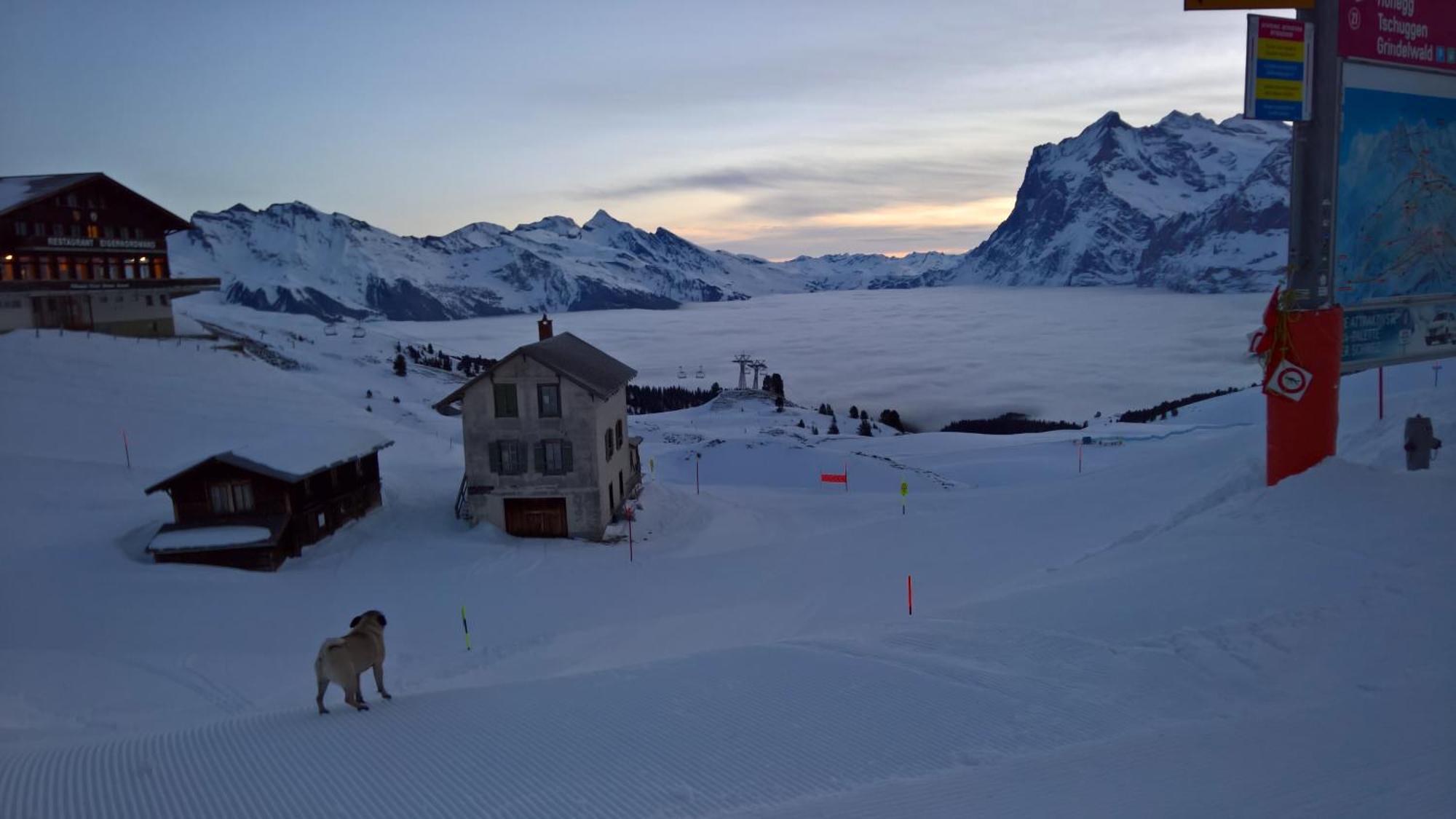 Lodge Bergrestaurant Kleine Scheidegg Buitenkant foto