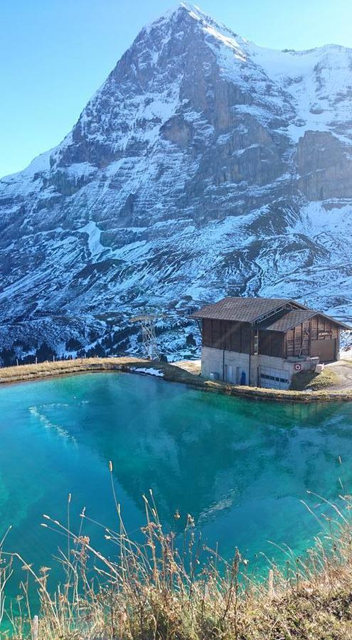 Lodge Bergrestaurant Kleine Scheidegg Buitenkant foto